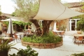 Terrasse ombragée